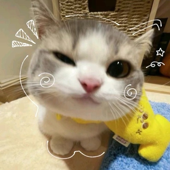 jiwookang6